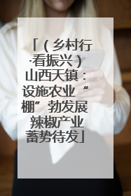 （乡村行·看振兴）山西天镇：设施农业“棚”勃发展 辣椒产业蓄势待发