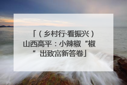 （乡村行·看振兴）山西高平：小辣椒“椒”出致富新答卷