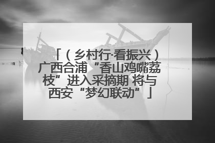 （乡村行·看振兴）广西合浦“香山鸡嘴荔枝”进入采摘期 将与西安“梦幻联动”