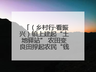 （乡村行·看振兴）镇上建起“土地驿站” 农田变良田撑起农民“钱袋子”