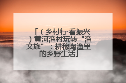 （乡村行·看振兴）黄河渔村玩转“渔文旅”：耕稼陶渔里的乡野生活