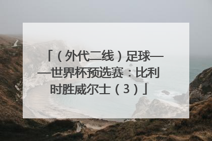 （外代二线）足球——世界杯预选赛：比利时胜威尔士（3）