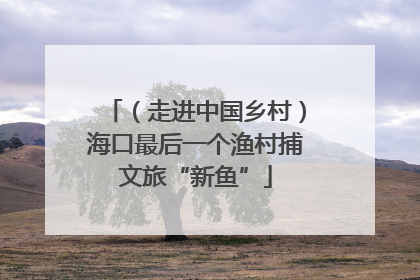 （走进中国乡村）海口最后一个渔村捕文旅“新鱼”