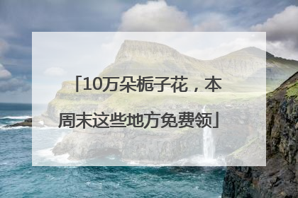 10万朵栀子花，本周末这些地方免费领