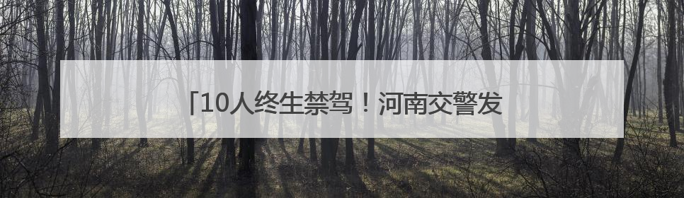 10人终生禁驾！河南交警发布5月份“五大曝光”警示