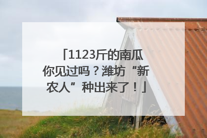 1123斤的南瓜你见过吗？潍坊“新农人”种出来了！