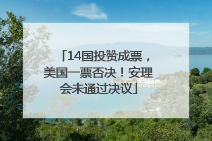 14国投赞成票，美国一票否决！安理会未通过决议