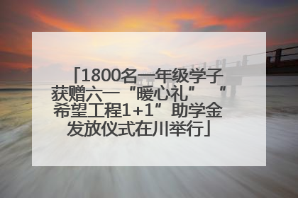 1800名一年级学子获赠六一“暖心礼” “希望工程1+1”助学金发放仪式在川举行