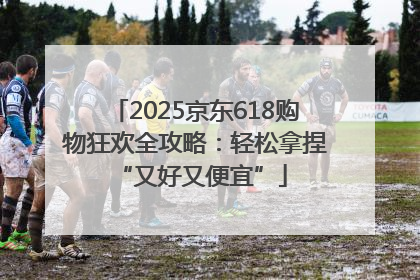 2025京东618购物狂欢全攻略：轻松拿捏 “又好又便宜”