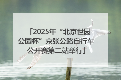 2025年“北京世园公园杯”京张公路自行车公开赛第二站举行