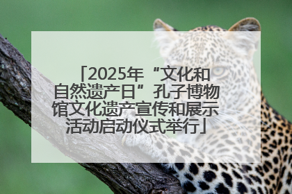 2025年“文化和自然遗产日”孔子博物馆文化遗产宣传和展示活动启动仪式举行