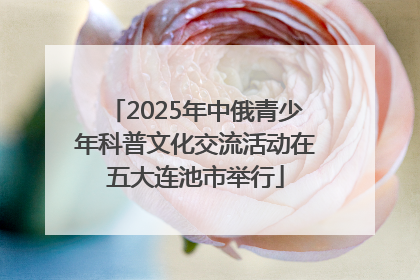 2025年中俄青少年科普文化交流活动在五大连池市举行