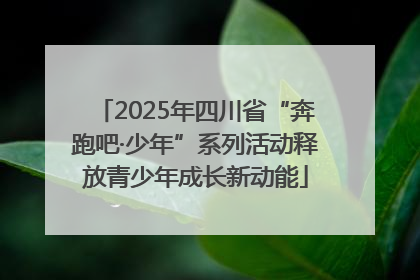 2025年四川省“奔跑吧·少年”系列活动释放青少年成长新动能