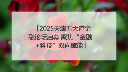 2025天津五大道金融论坛启幕 聚焦“金融+科技”双向赋能