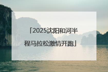 2025沈阳和河半程马拉松激情开跑