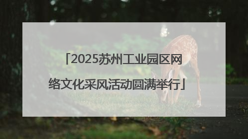 2025苏州工业园区网络文化采风活动圆满举行