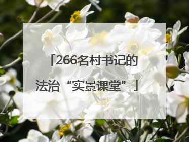 266名村书记的法治“实景课堂”