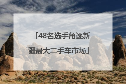 48名选手角逐新疆最大二手车市场