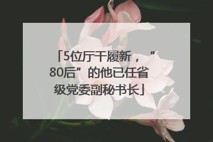 5位厅干履新，“80后”的他已任省级党委副秘书长