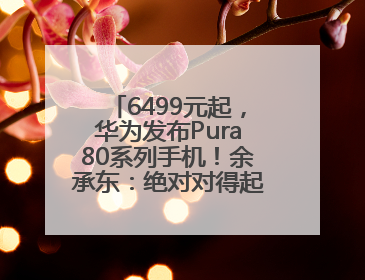 6499元起，华为发布Pura80系列手机！余承东：绝对对得起那四个字！华为近十年研发投入12490亿元