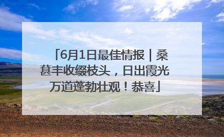 6月1日最佳情报｜桑葚丰收缀枝头，日出霞光万道蓬勃壮观！恭喜