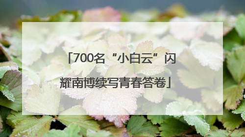 700名“小白云”闪耀南博续写青春答卷