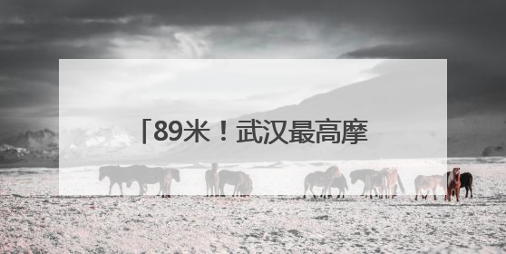 89米！武汉最高摩天轮在汉阳正式开转