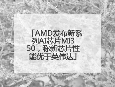 AMD发布新系列AI芯片MI350，称新芯片性能优于英伟达