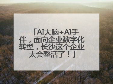 AI大脑+AI手伴，面向企业数字化转型，长沙这个企业太会整活了！