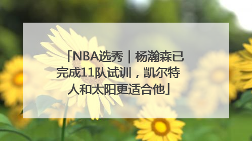 NBA选秀｜杨瀚森已完成11队试训，凯尔特人和太阳更适合他