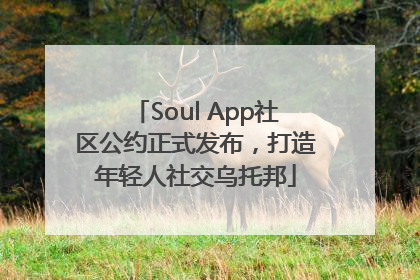 Soul App社区公约正式发布，打造年轻人社交乌托邦